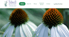 Desktop Screenshot of groundcovertogo.com
